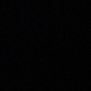 Meet your Posher, Xavier